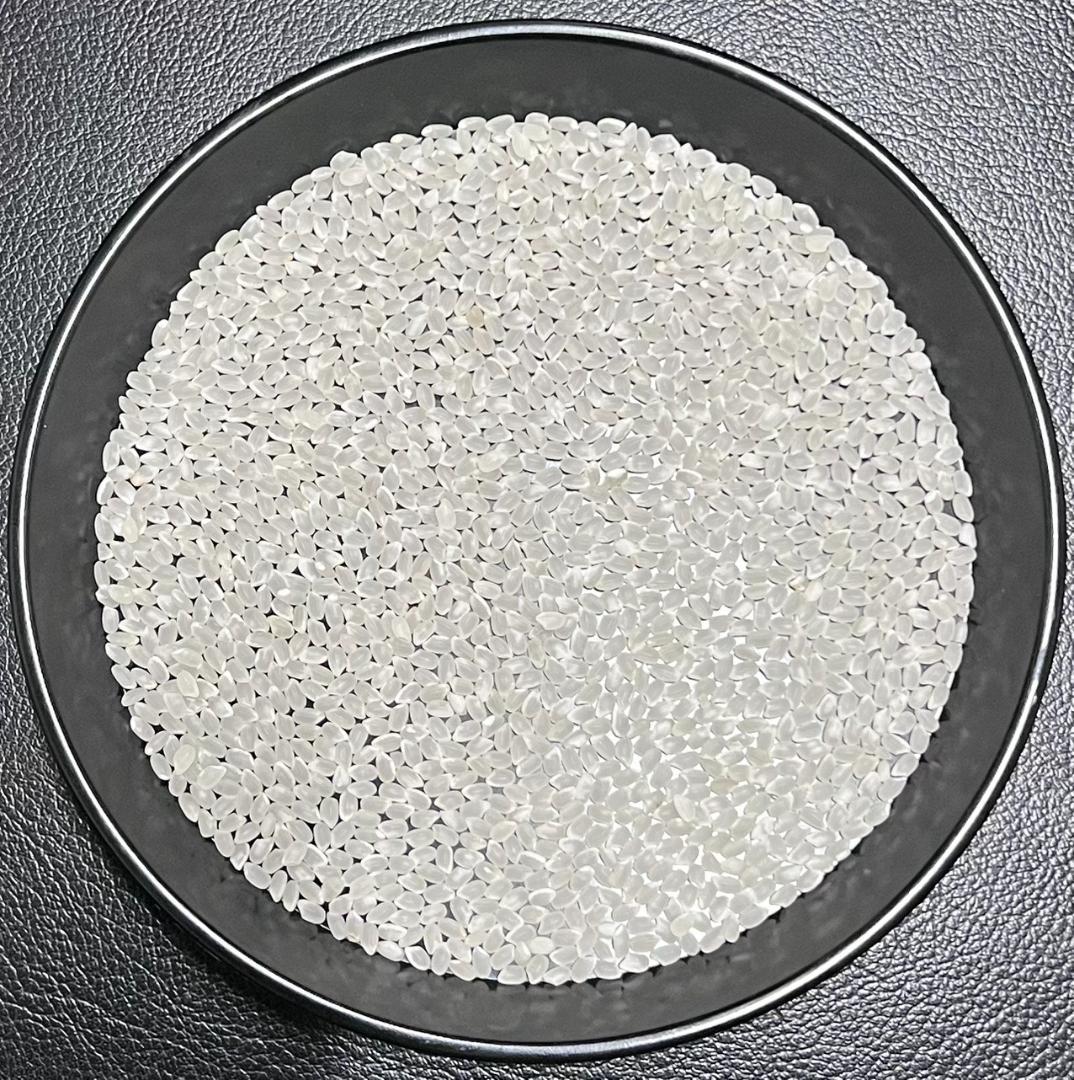 一等検査 特別栽培米 令和7年産 京都 丹後 コシヒカリ 白米 約 27kg