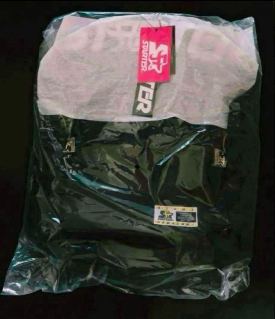 ［新品］浜崎あゆみ Backpack（リュック） STARTER