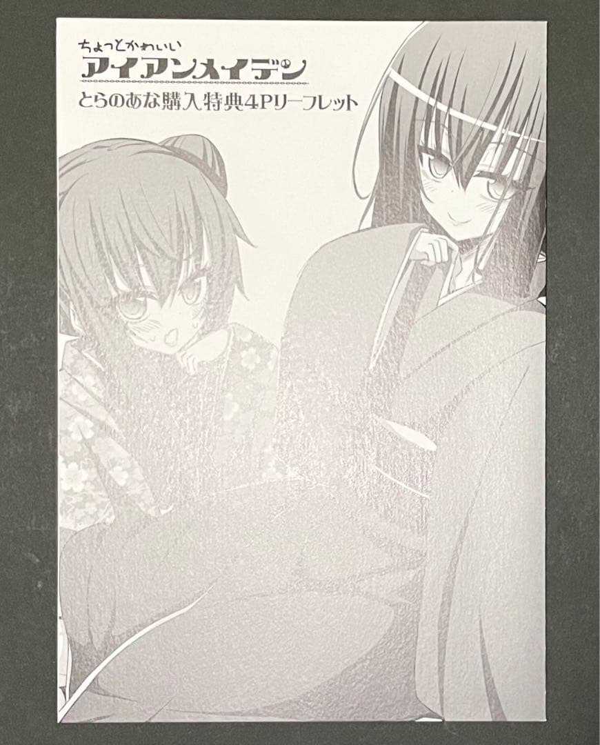 ちょっとかわいいアイアンメイデン 1巻・4巻・特典セット