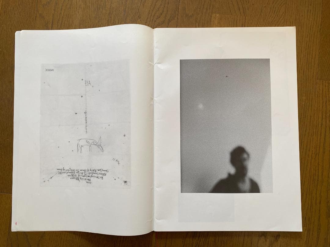 マーク・ボスウィック　100部限定　アートブック 貴重　オリジナルプリント付