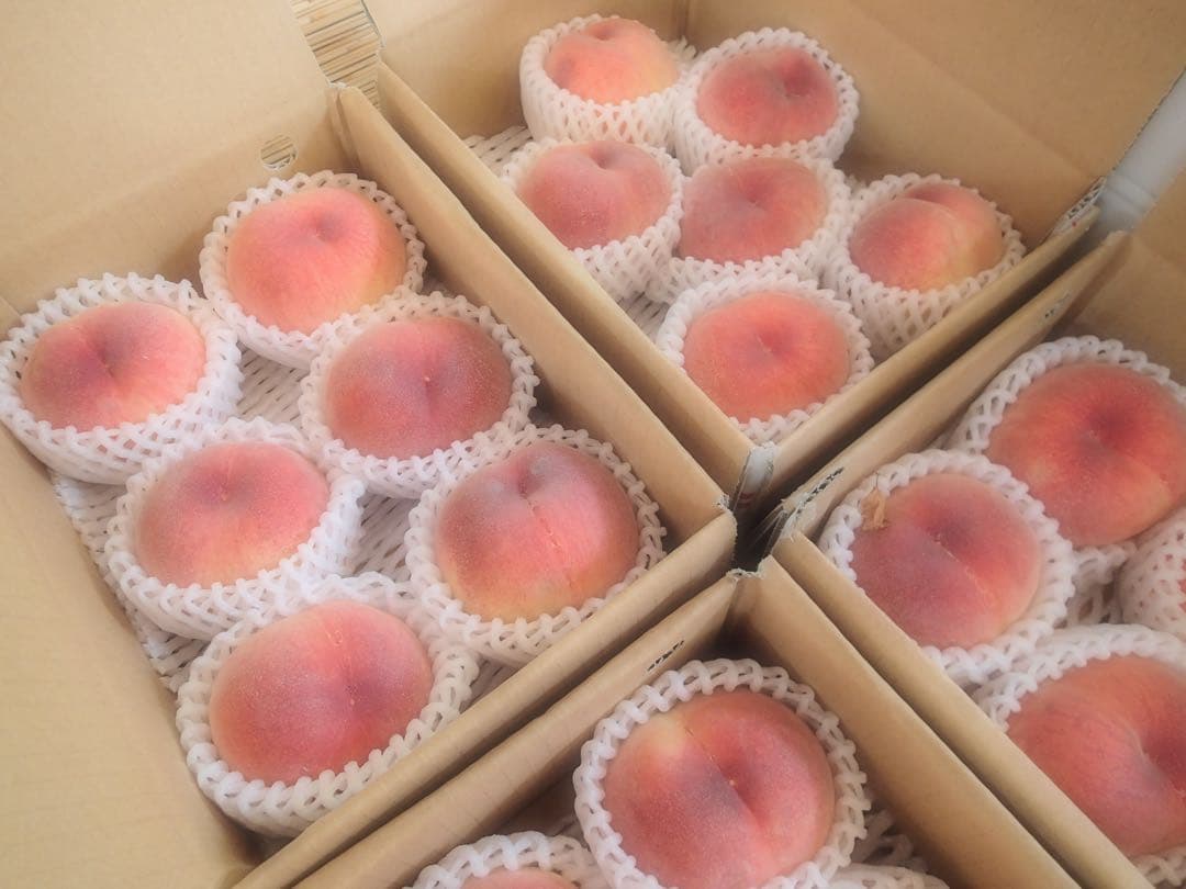 山梨一宮のてっぺん桃　幸茜の超特大サイズを5個詰め発送　終了間近　ももやのきよし