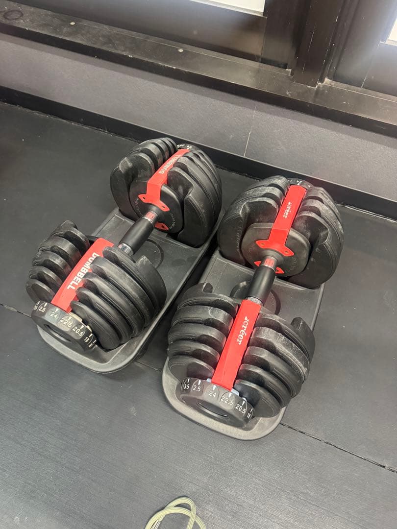 PowerBlock Adjustable Dumbbells 2個セット