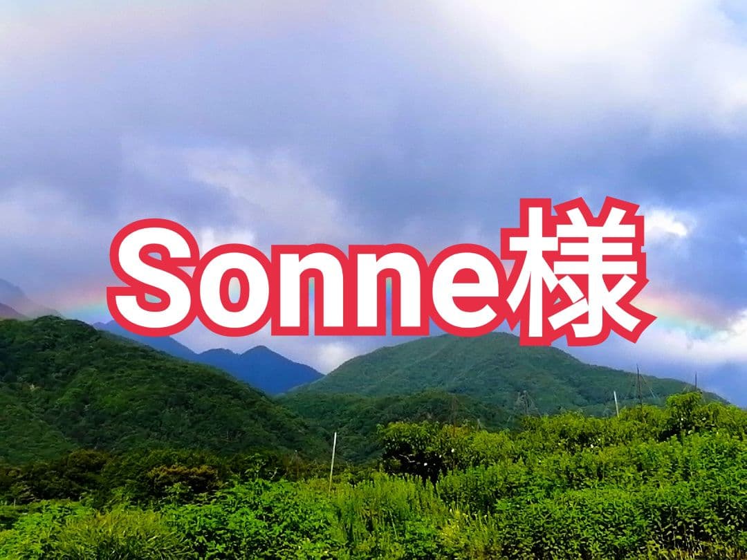 Sonne様　山梨県産　枯露柿・干し柿用　渋柿　甲州百目柿　20kg