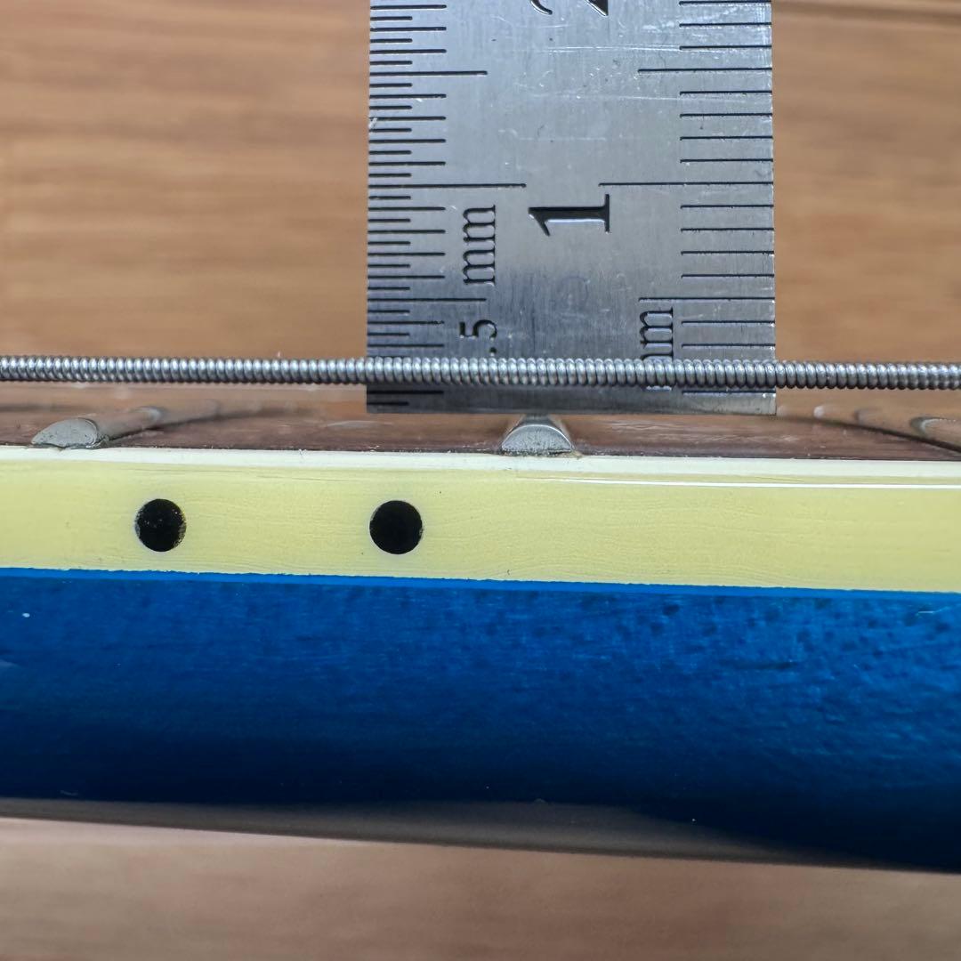 FERNANDES APG-55S サスティナー