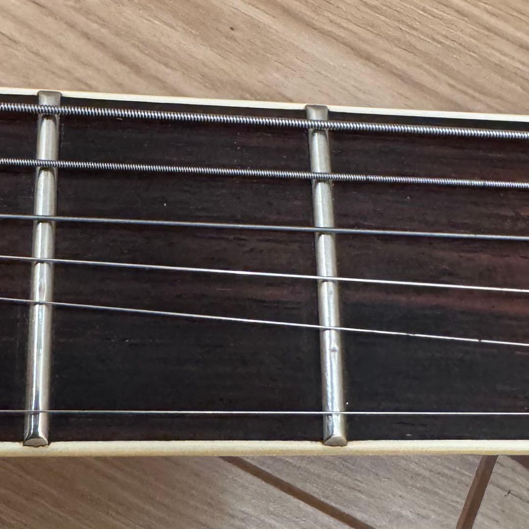 FERNANDES APG-55S サスティナー