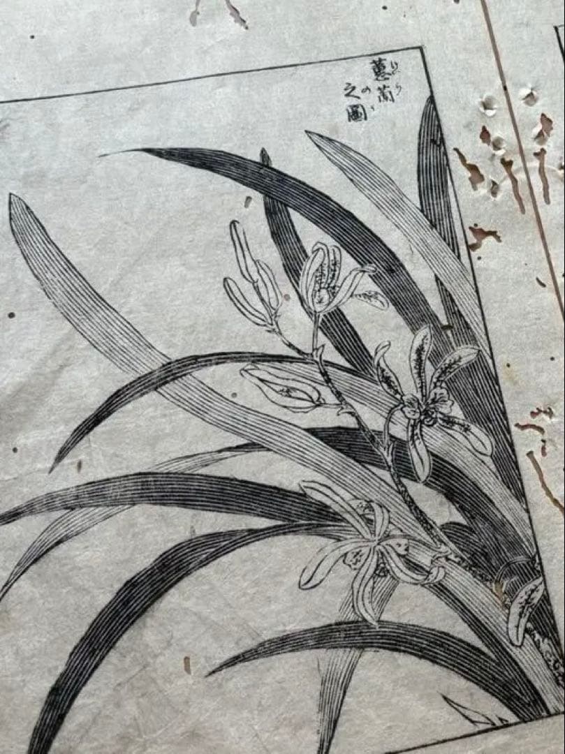 スイレン様 リクエスト 4点 まとめ商品