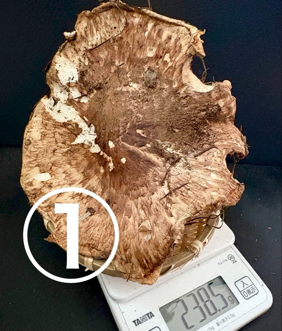 【今期最終‼︎ 希少品‼︎ 訳あり特価‼︎ 傘大量380g】 松茸◆クール便発送◆