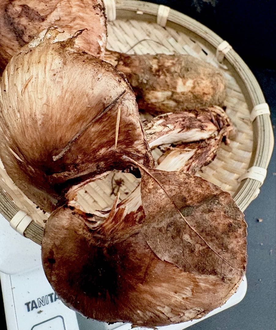 【今期最終‼︎ 希少品‼︎ 訳あり特価‼︎ 傘大量380g】 松茸◆クール便発送◆