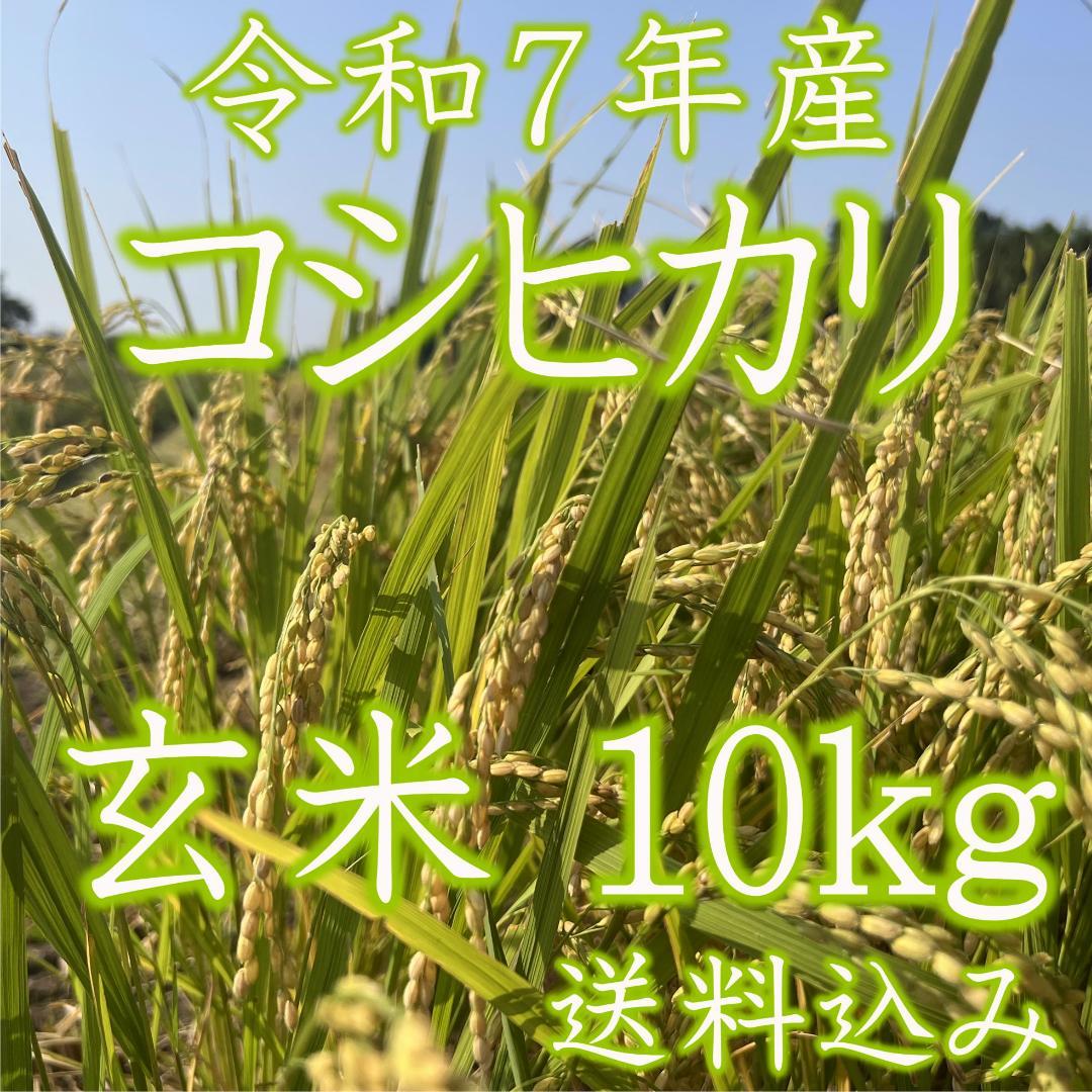 玄米10kg◆令和７年産コシヒカリ玄米10キロ◆栃木県産新米