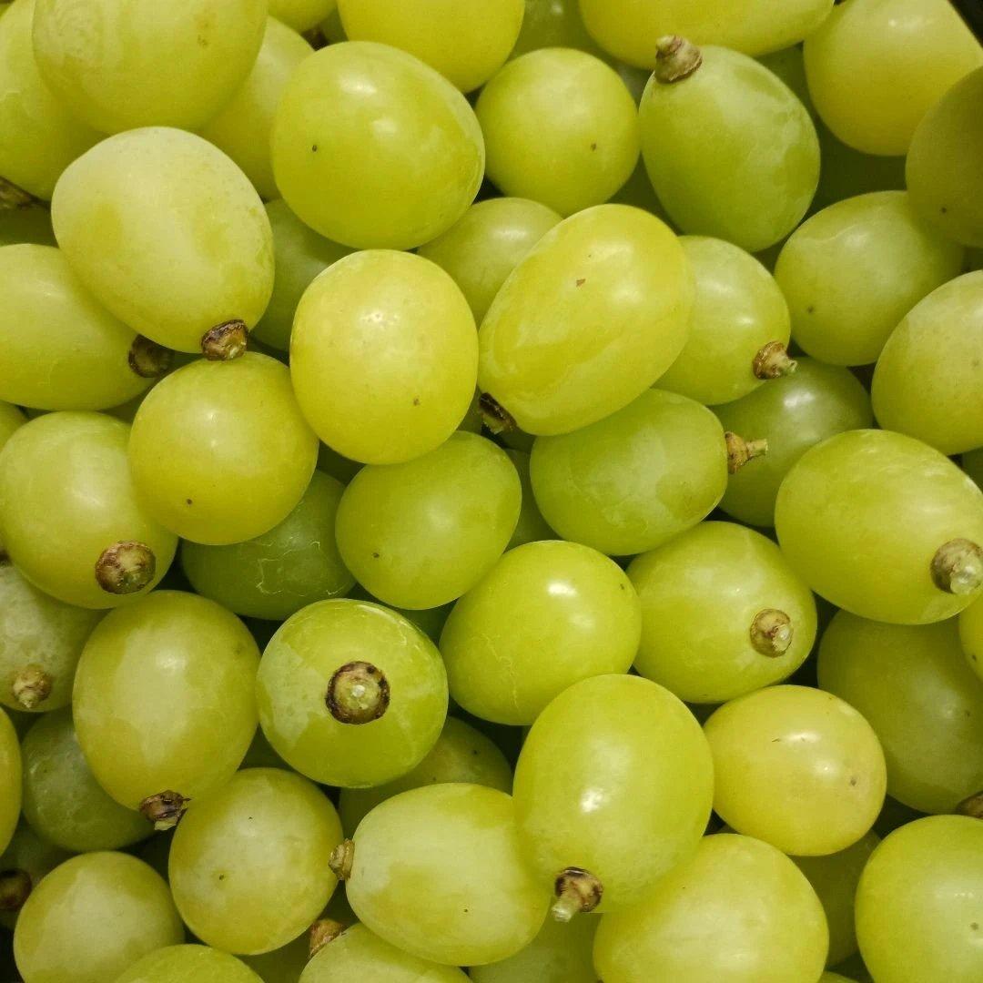 シャインマスカット完熟多めの、徳用5.5キロ入りの粒バック入りになります。