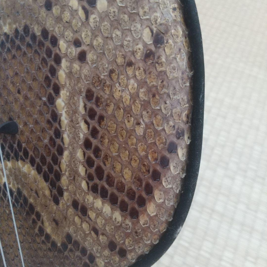 沖縄 三線 三味線 本革 ヘビ皮