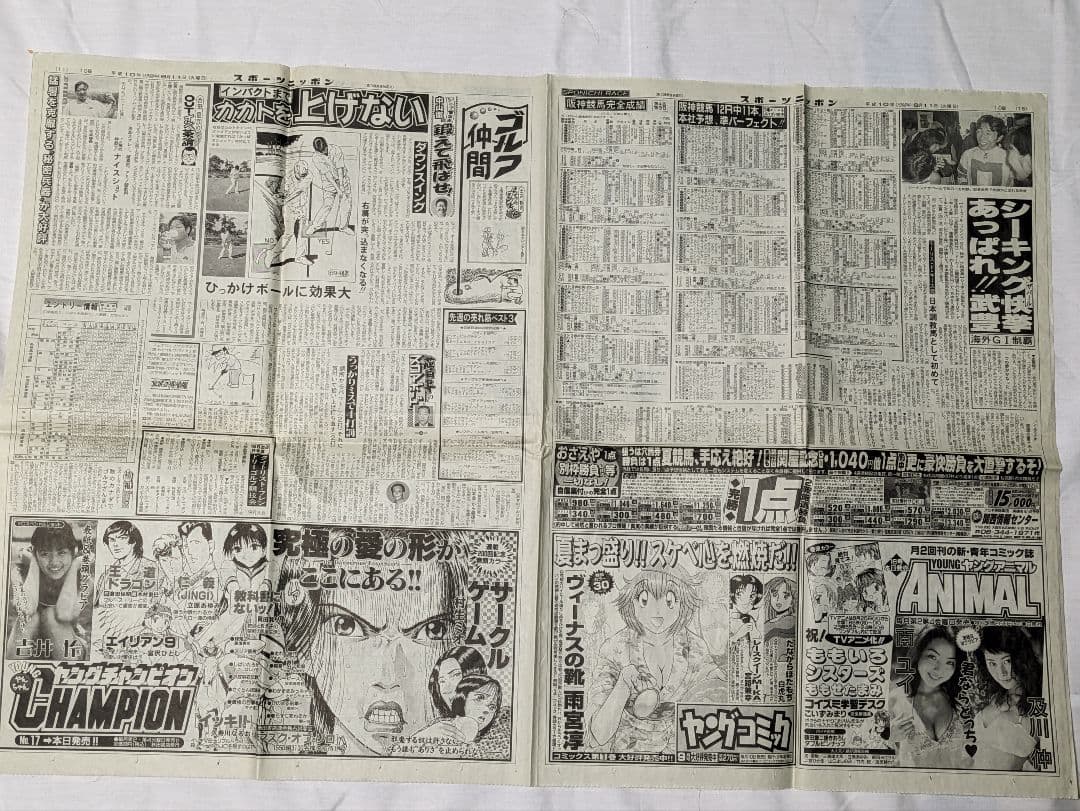 シーキングザパール　武豊　競走馬　写真パネル　額縁入り　スポーツ新聞付き