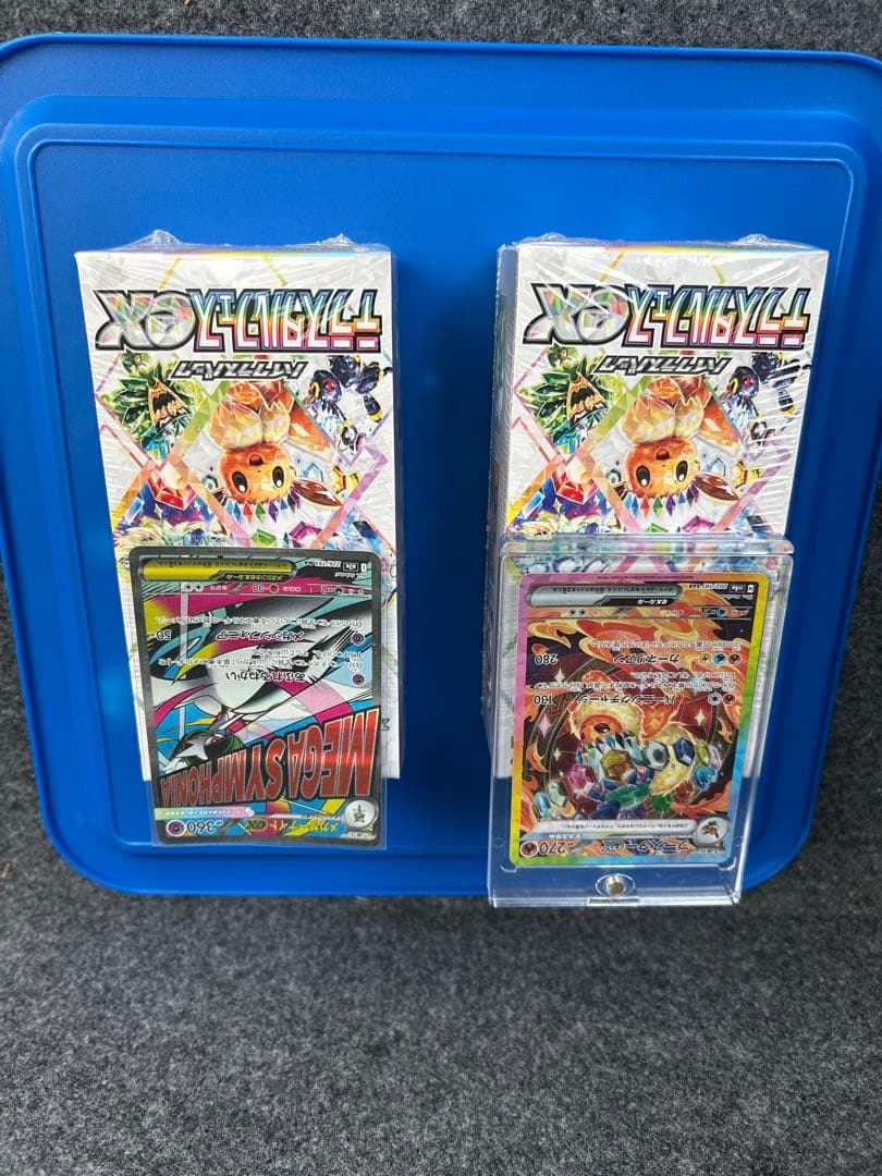 テラスタルフェスex ボックス