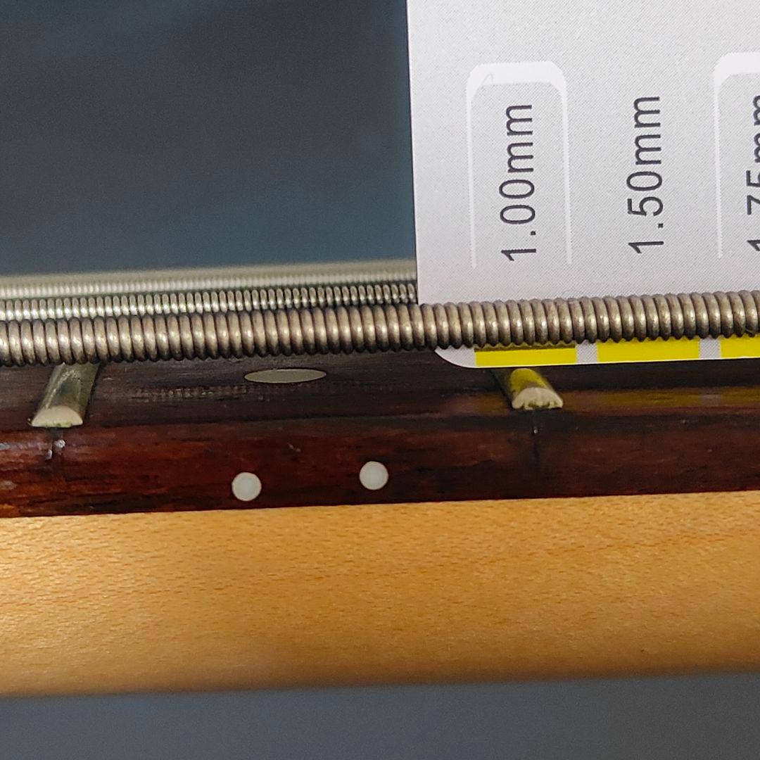 Ibanez ergodyne EDB350 アイバニーズ アクティブ ベース