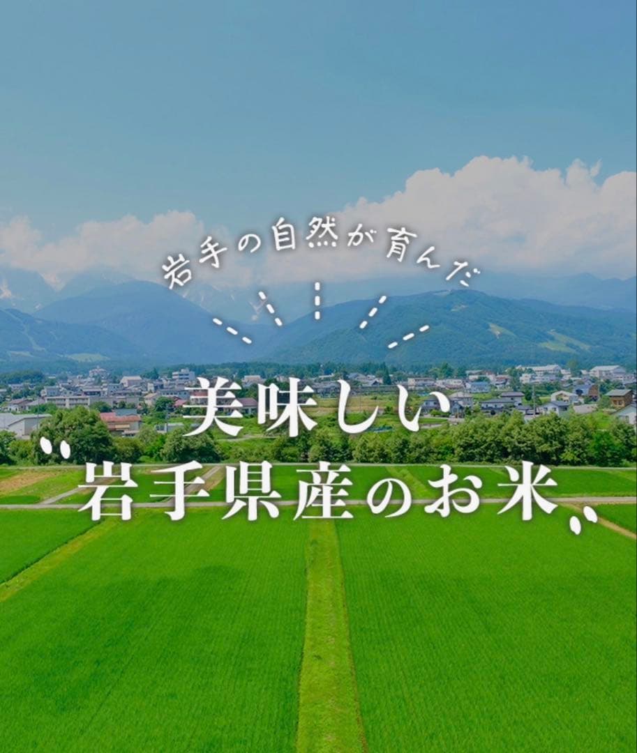 お米　特別限定価格！白米【令和7年産岩手県産ひとめぼれ10kg】5kg×2