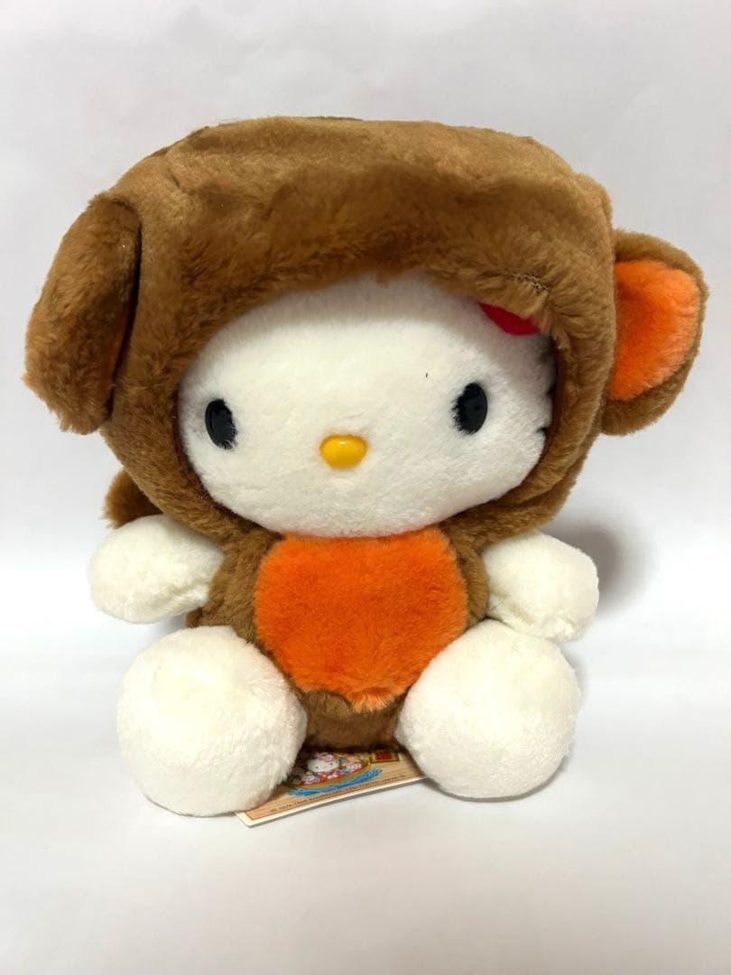 【激レア・タグ付き】アキ13点