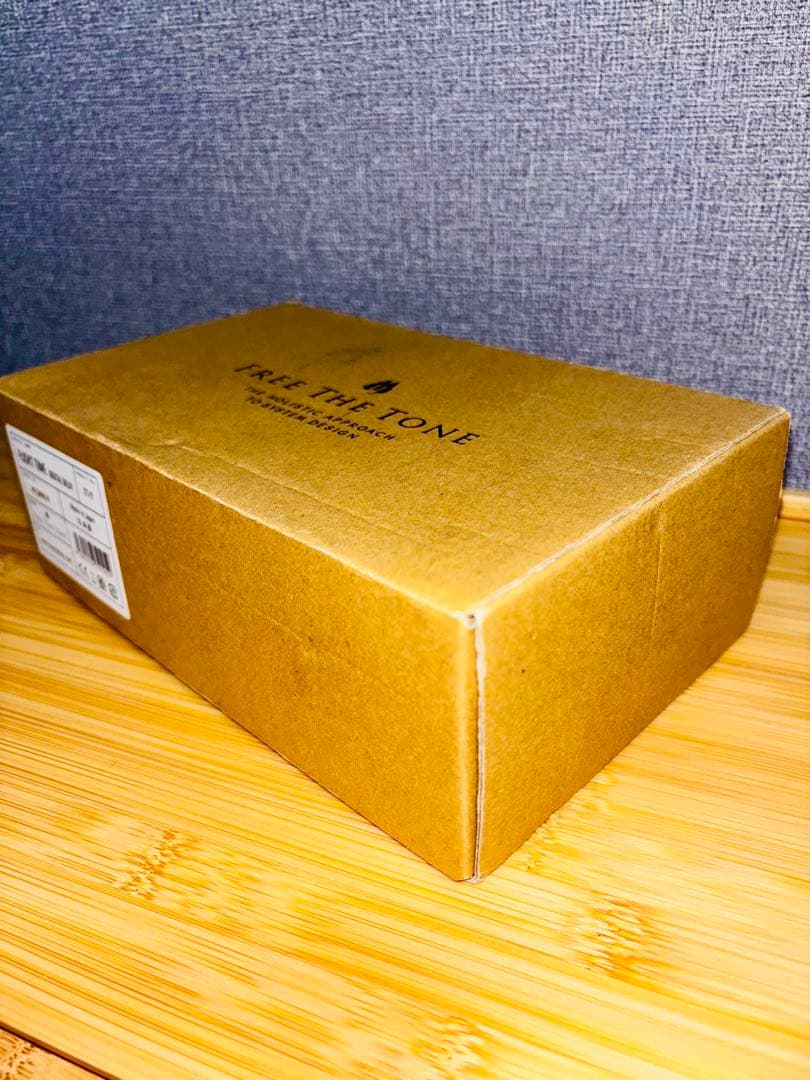 ギター Free The Tone FLIGHT TIME FT-1Y