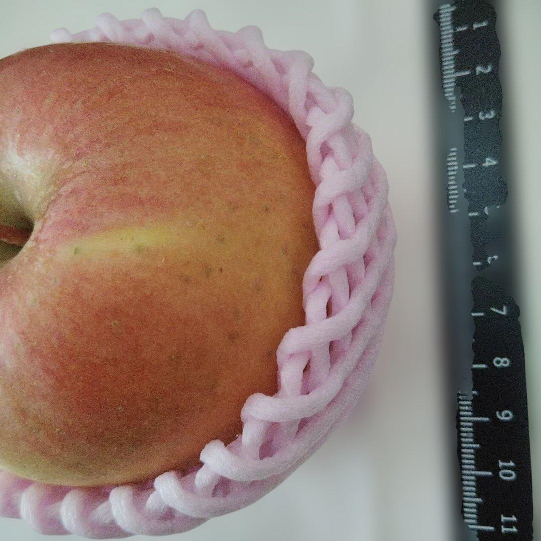 栽培中農薬不使用　高徳6玉　大玉贈答品　家庭用多種多様セットリンゴ9キロ