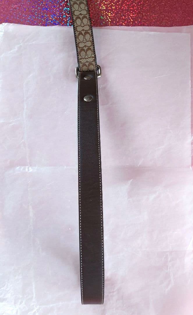 【新春セール！激レア!】COACH 大型犬用カラー&リード セット 未使用品