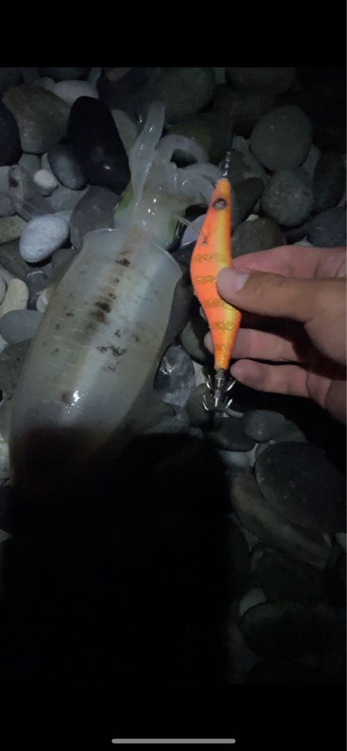 春から秋まで使えるエギ