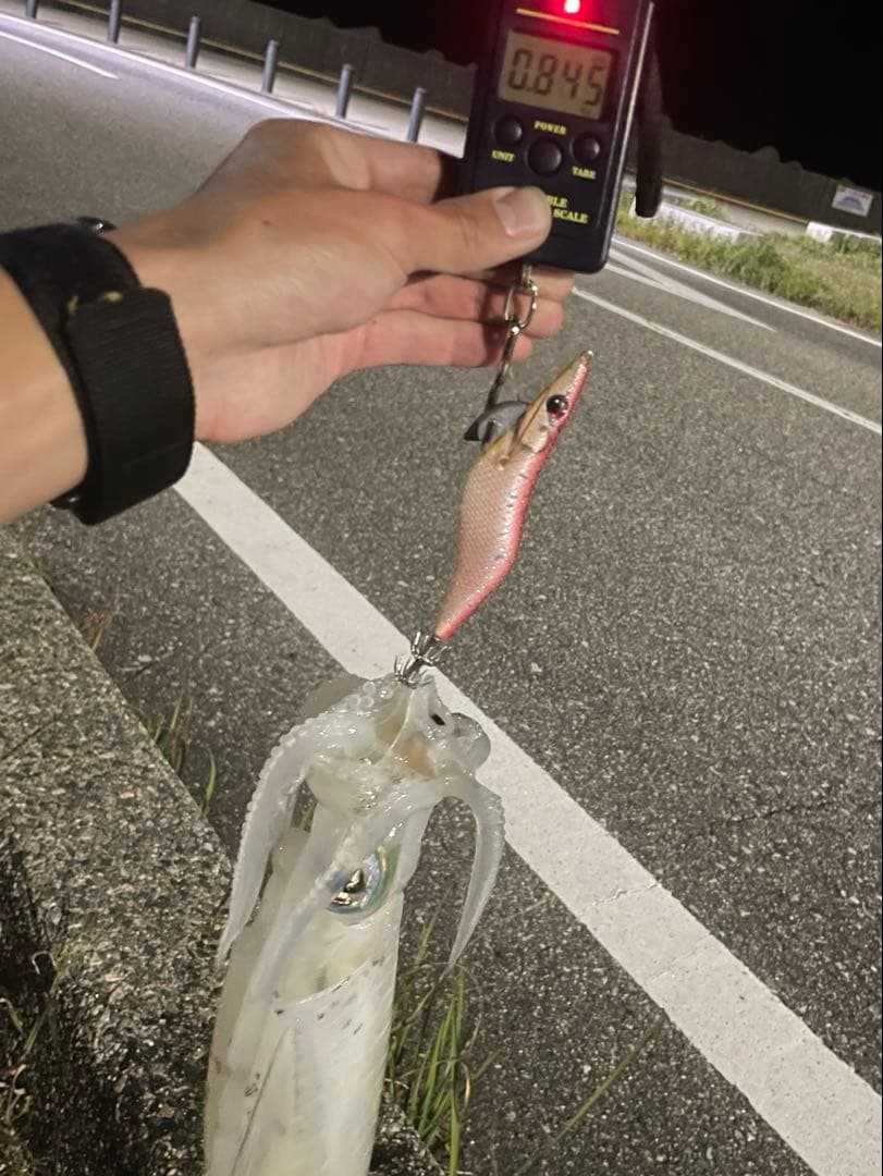 春から秋まで使えるエギ