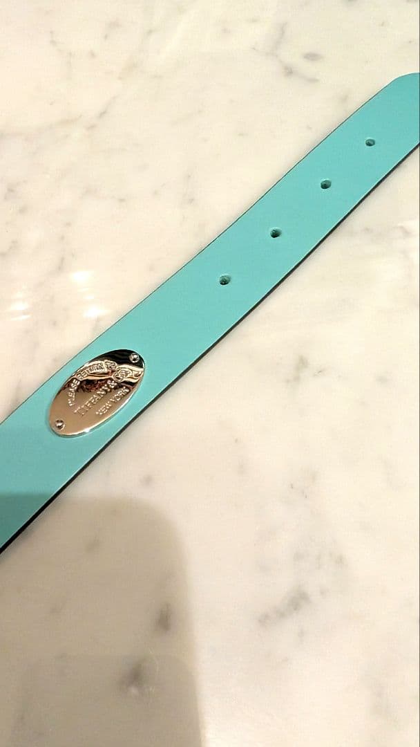 ■試着のみ 新品未使用 TIFFANY 首輪+リードセット Lサイズ 中〜大型犬