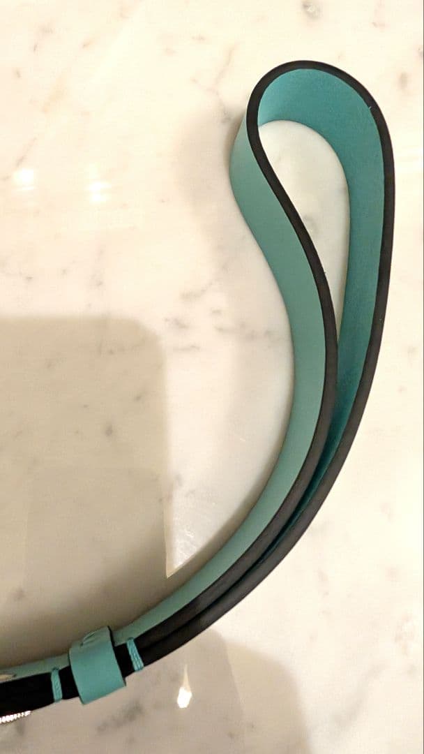 ■試着のみ 新品未使用 TIFFANY 首輪+リードセット Lサイズ 中〜大型犬