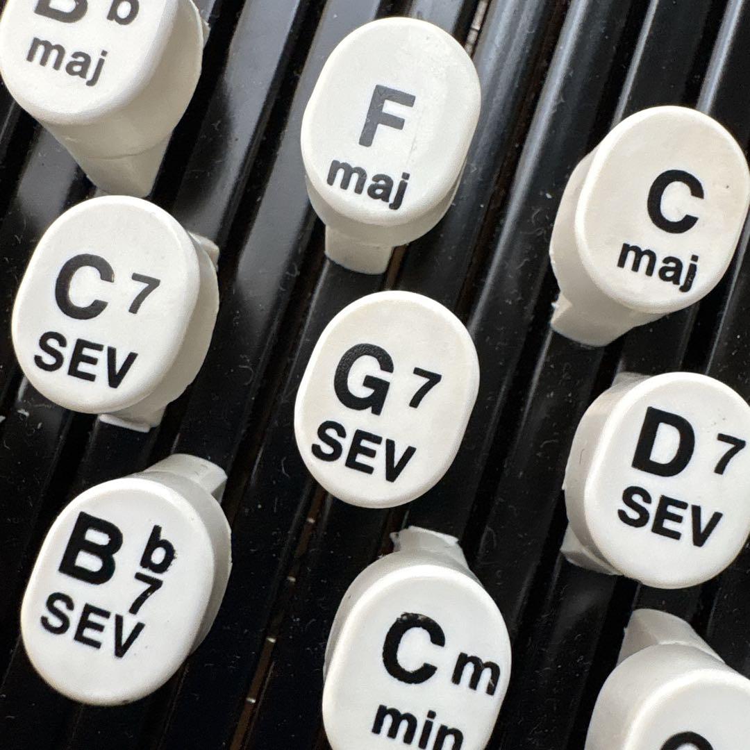 ARIA ACH-210S オートハープ コードハープ ケース 備品付き