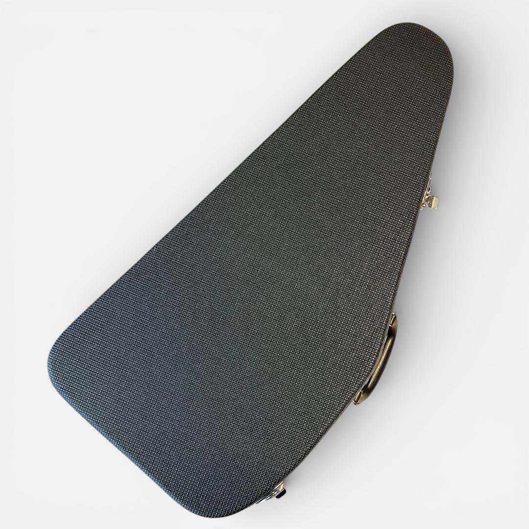 ARIA ACH-210S オートハープ コードハープ ケース 備品付き