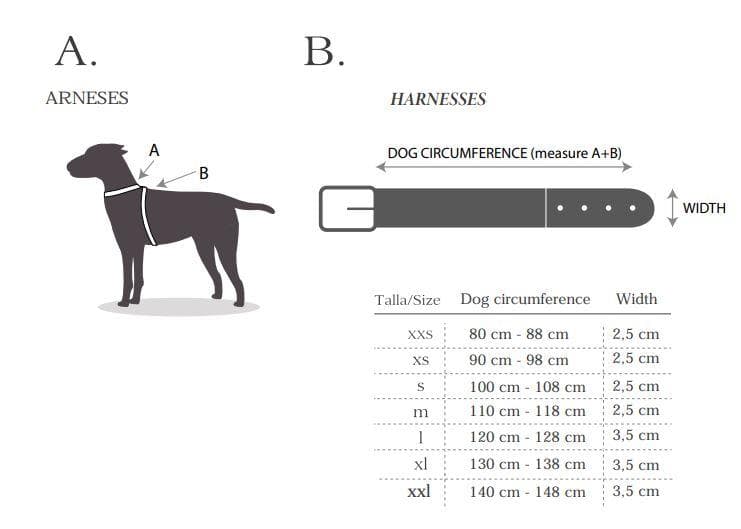 Peruvian Gold スペイン製 高級ハンドメイド犬用リード(2m)