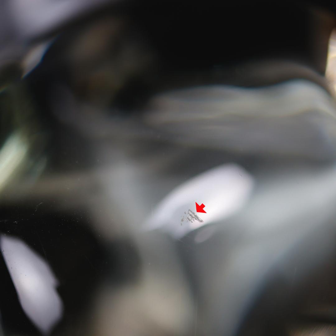 Murano Glass Pino Signoretto パンサー 4.5kg