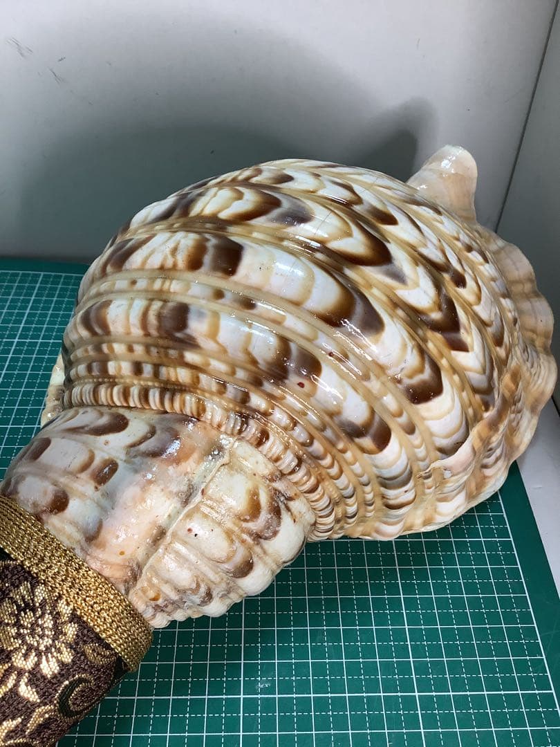 ヤフメリ48・法螺貝・山伏・修験者・金峯山・羽黒山・戦国武将・縁起物・魔除・熊除