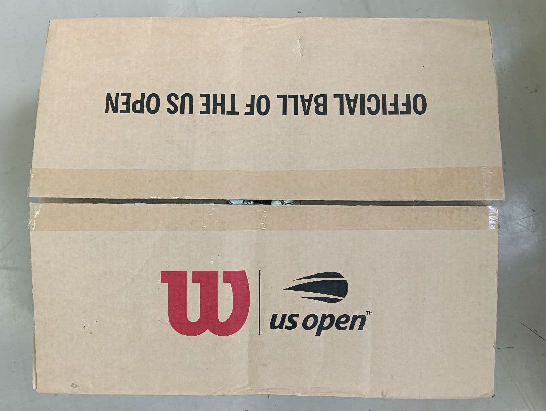 Wilson テニスボール エクストラ デューティ Extra Duty　60球