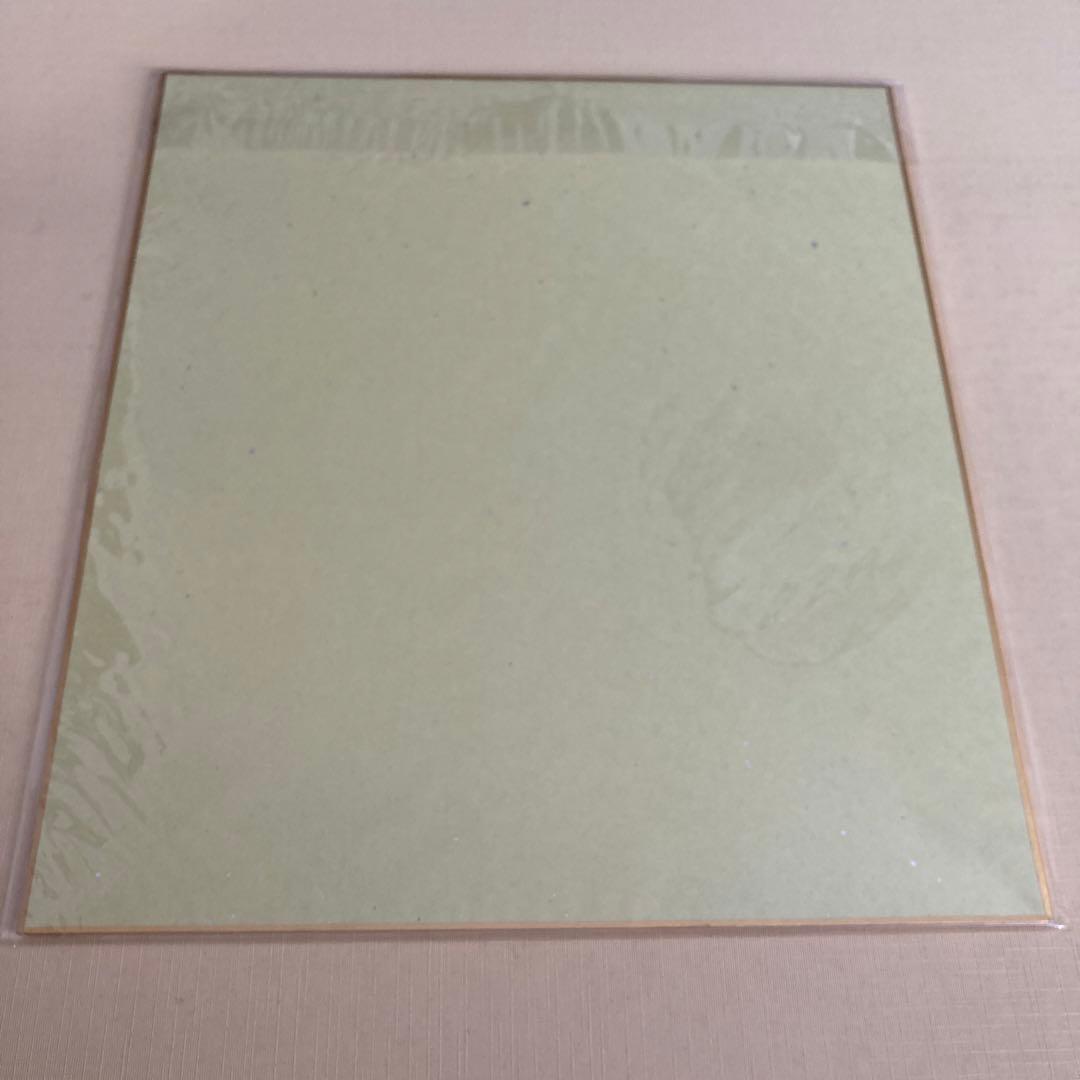 なでしこジャパン　長谷川唯　清水梨紗　直筆サイン　色紙