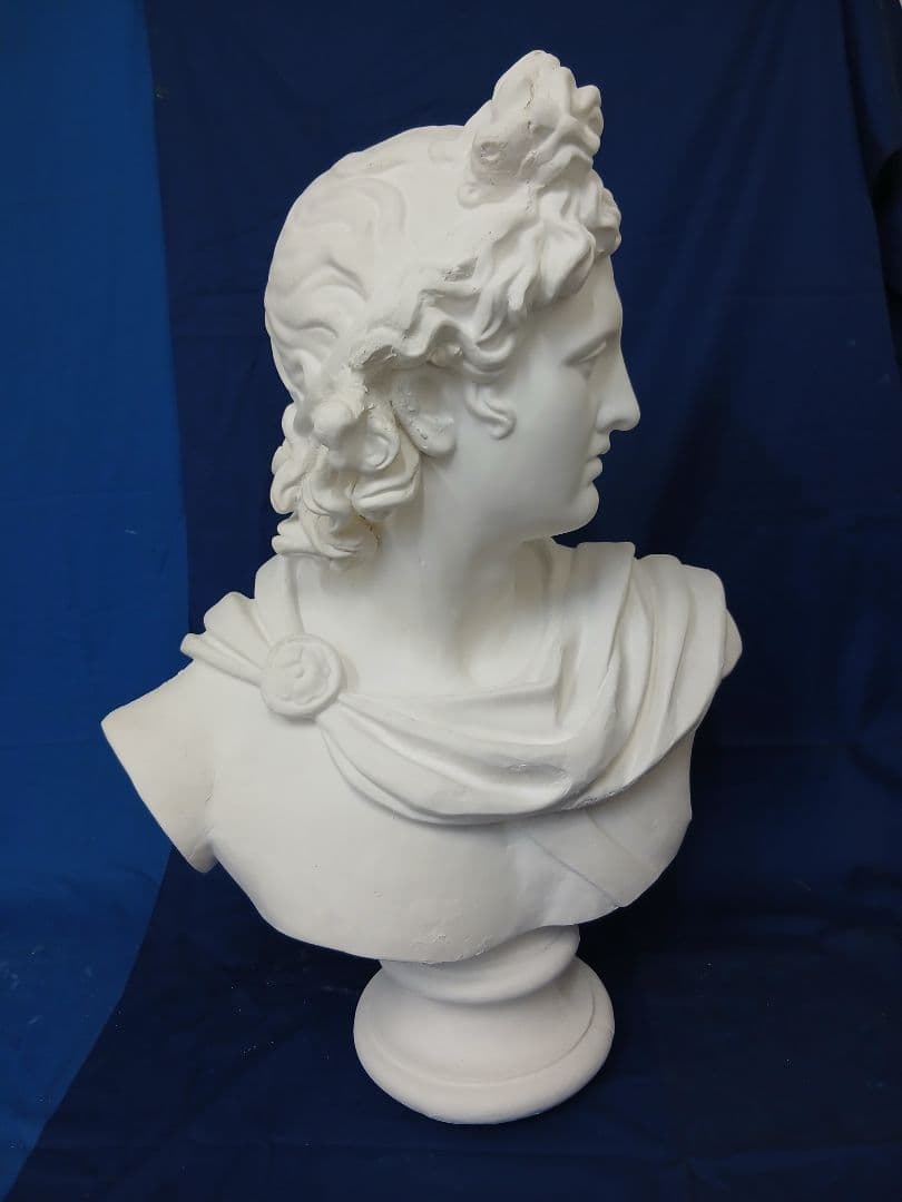 アポロ胸像。81cm