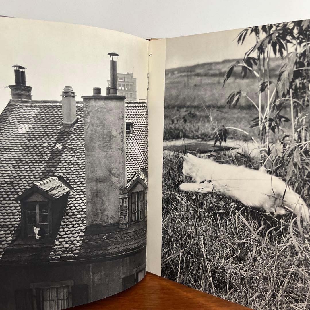 猫 写真集 CHATS HENRI SAAS フランスヴィンテージ