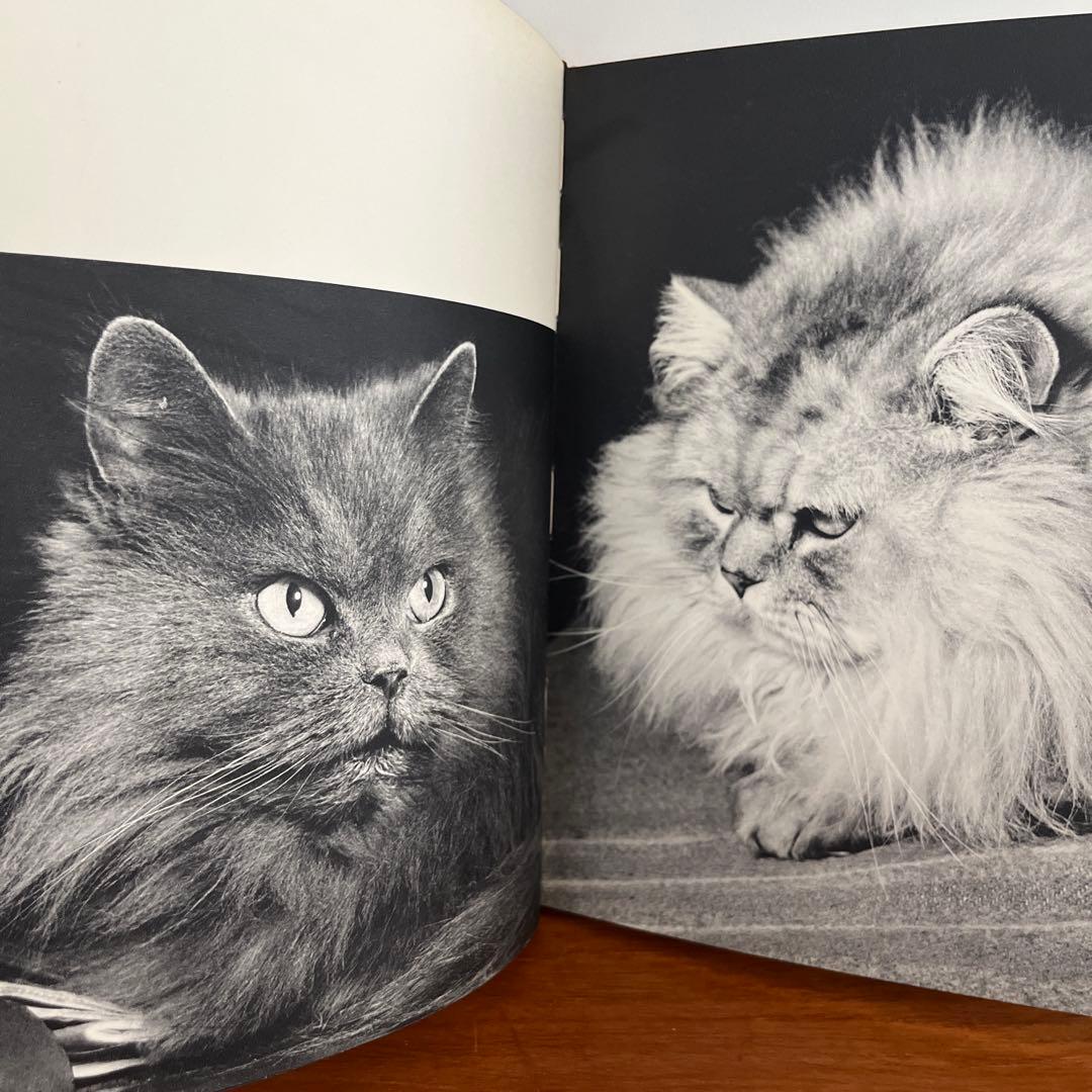 猫 写真集 CHATS HENRI SAAS フランスヴィンテージ