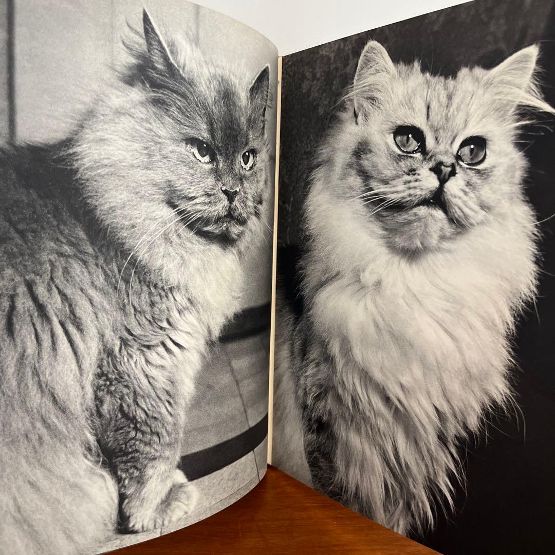 猫 写真集 CHATS HENRI SAAS フランスヴィンテージ