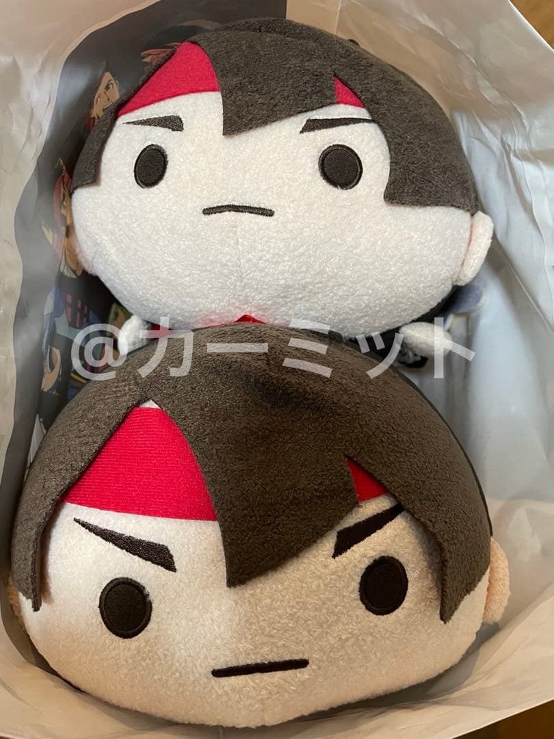 カプころん BIGぬいぐるみ 亜双義一真 カプコンストア