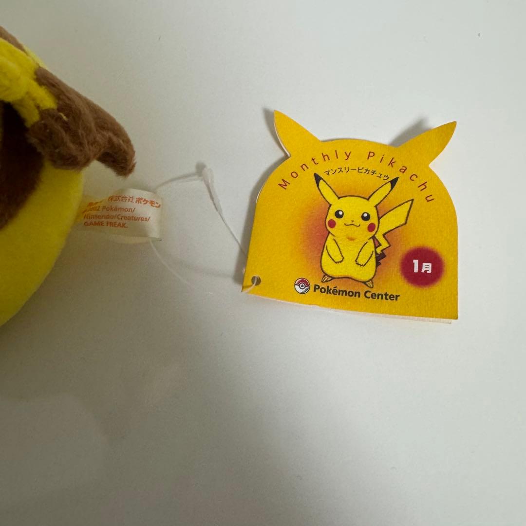 ポケモン　ポケットモンスター　 マンスリーピカチュウ2002年1月