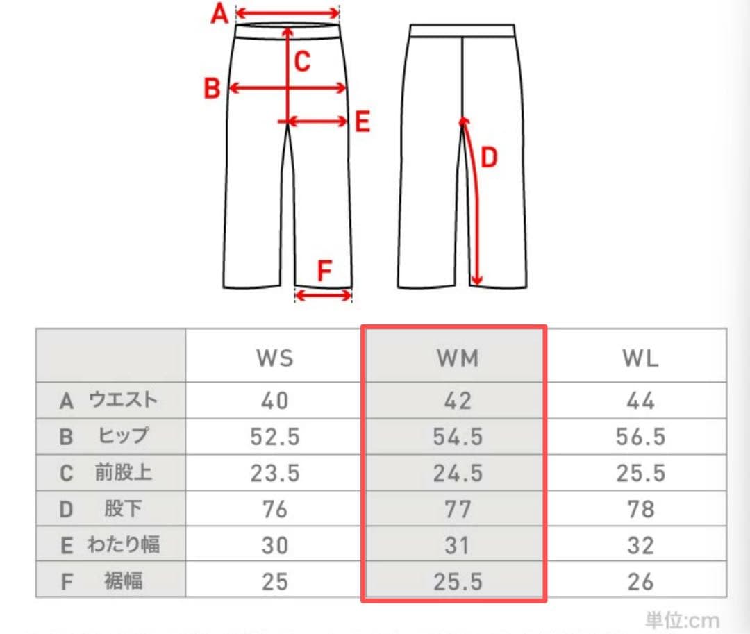 WM（M）サイズ　スノーボードウェア スキーウェア 上下セット レディース