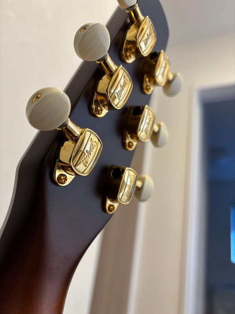 Seagull エレアコ サンバースト