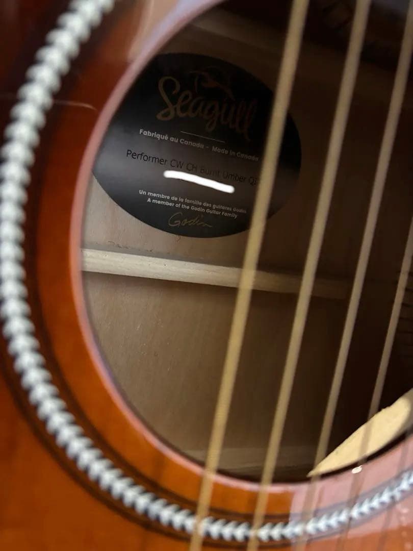 Seagull エレアコ サンバースト