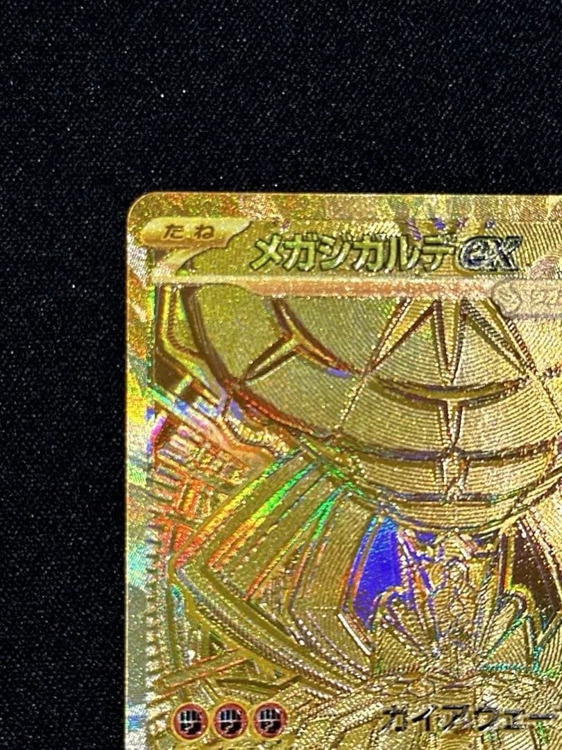 【超希少】メガジガルデex murエラー 魂抜け レリーフずれ
