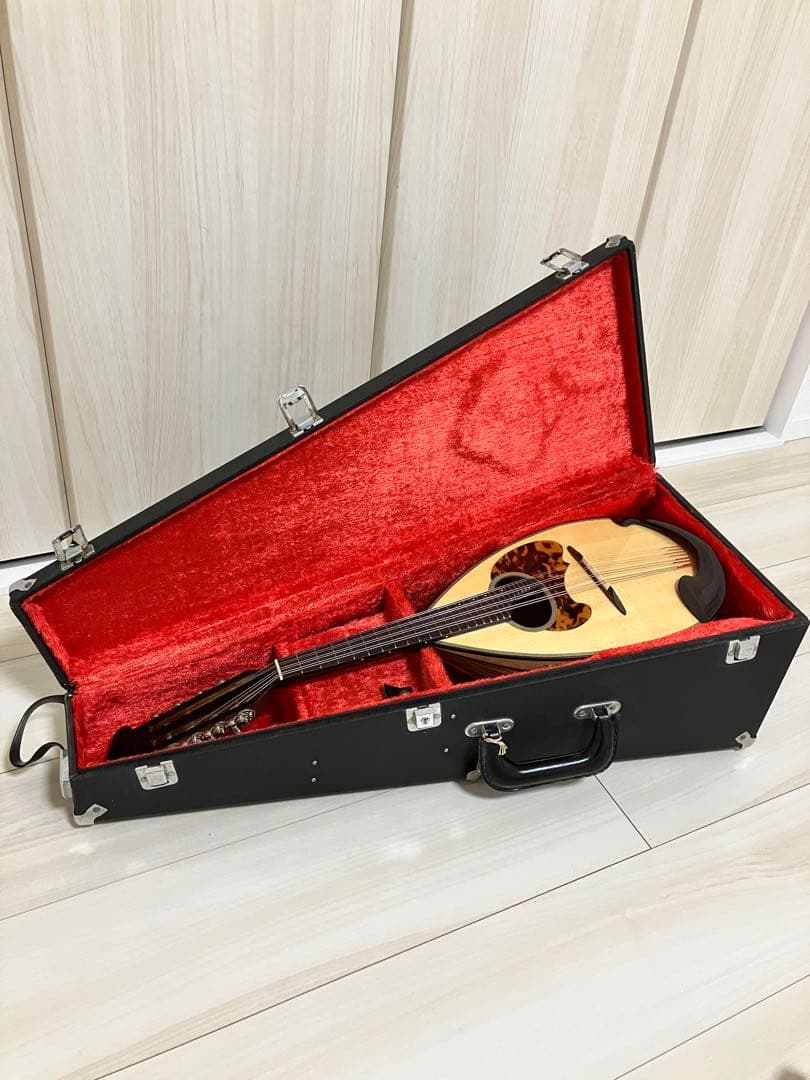 石川捷二郎監修 Venezia マンドリン M-50 木曽鈴木バイオリン社