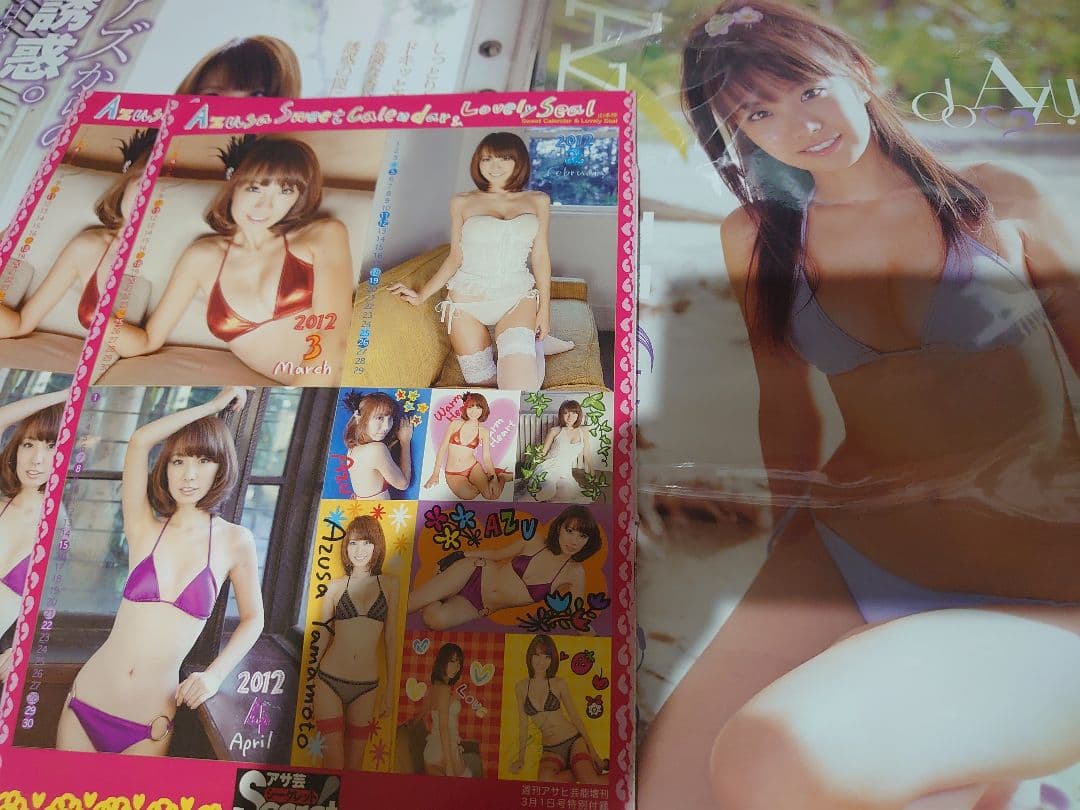 【大量】グラビアアイドル・山本梓さん 雑誌切り抜き