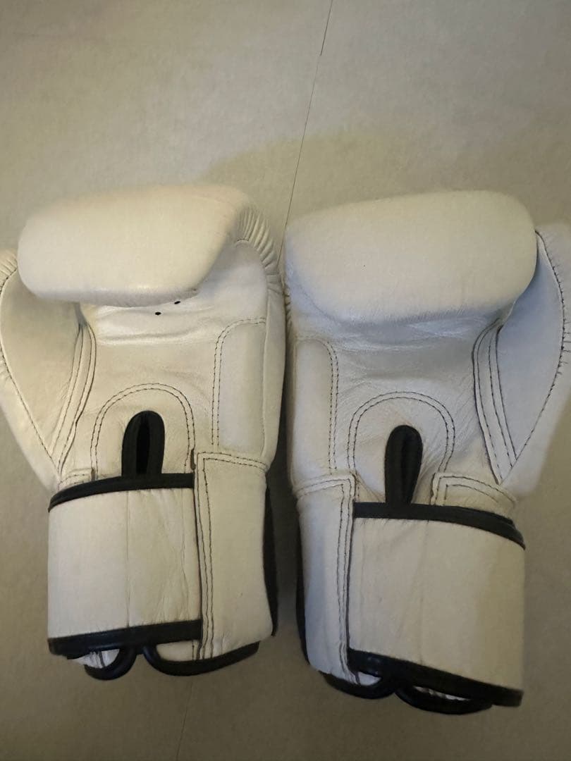 Fairtex ボクシンググローブ ホワイト