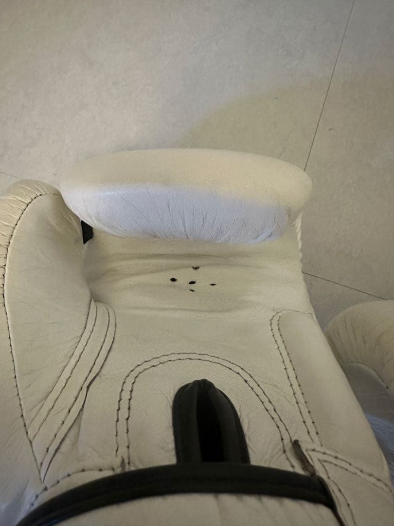 Fairtex ボクシンググローブ ホワイト