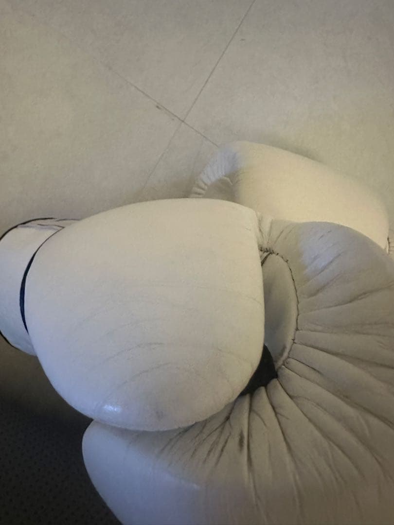 Fairtex ボクシンググローブ ホワイト