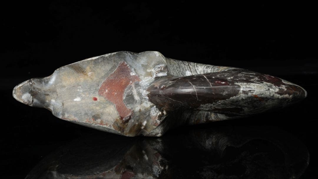 天然アンモナイト化石 重量2.8kg 古生物標本 化石標本 古代海洋生物 鑑賞石